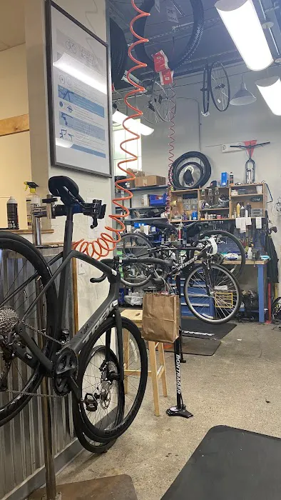 Landry's Bicycles Picture 9