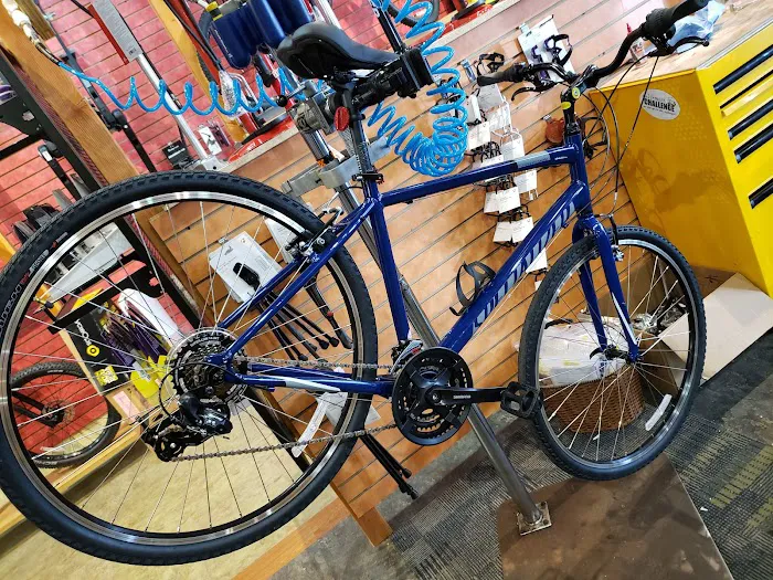 Landry's Bicycles Picture 4