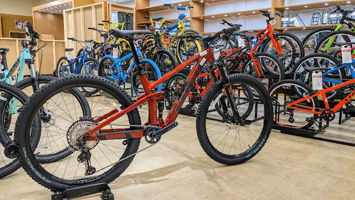 Landry's Bicycles Picture 6
