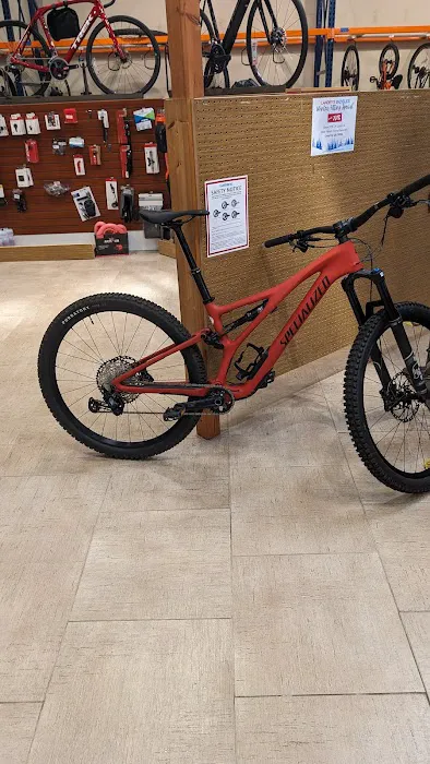 Landry's Bicycles Picture 7