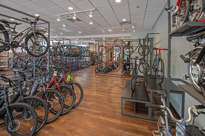 Conte's Bike Shop Picture 3
