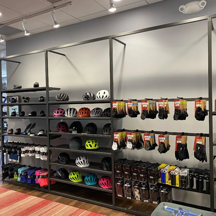 Conte's Bike Shop Picture 7