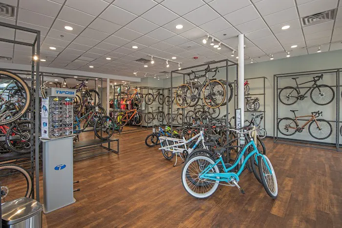 Conte's Bike Shop Picture 6