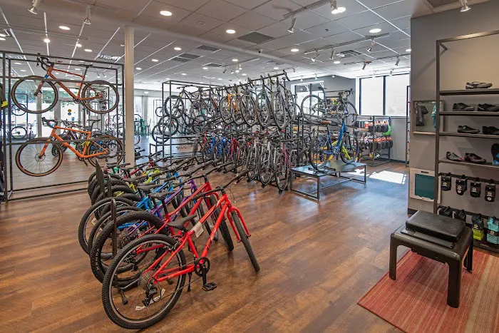 Conte's Bike Shop Picture 9