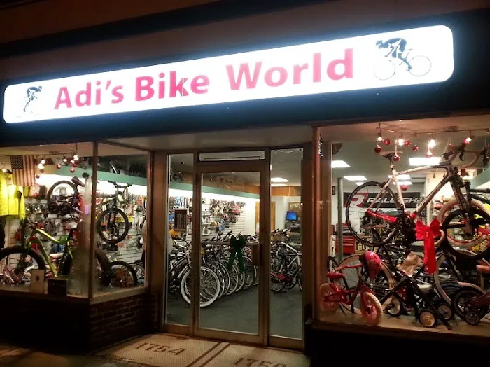 Adi's Bike World Picture 3
