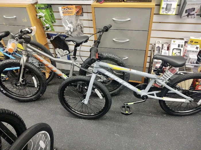 Adi's Bike World Picture 2