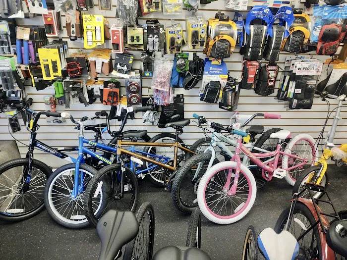 Adi's Bike World Picture 6