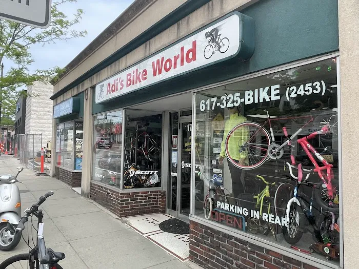 Adi's Bike World Picture 4