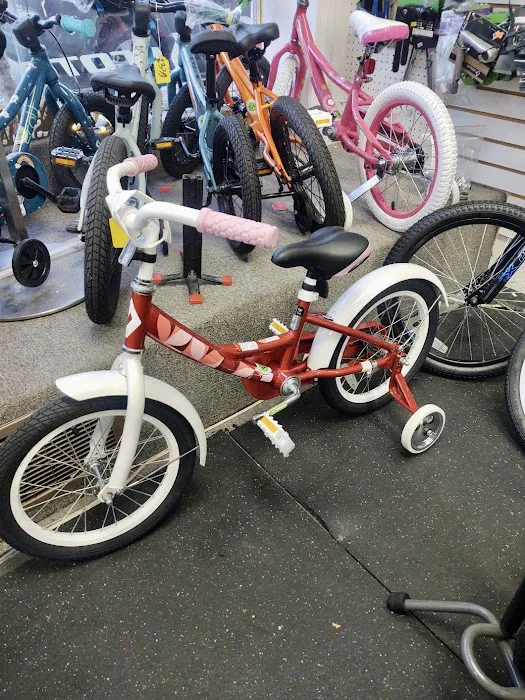 Adi's Bike World Picture 8