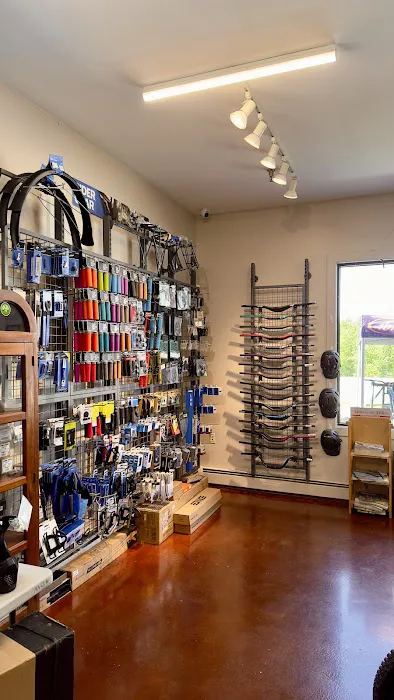 Alpine Bike Works Picture 3