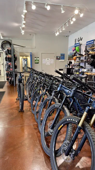 Alpine Bike Works Picture 6
