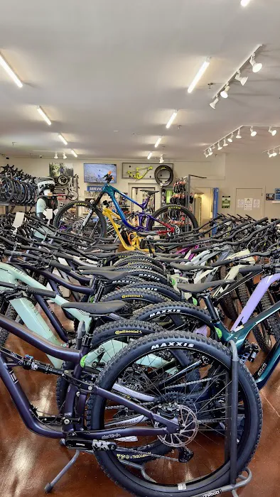 Alpine Bike Works Picture 8