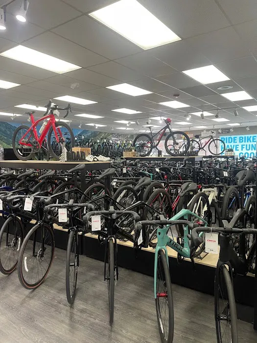 Trek Bicycle Warwick Picture 3