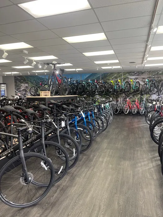 Trek Bicycle Warwick Picture 6