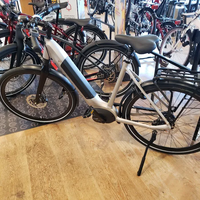NBX Bikes Picture 6