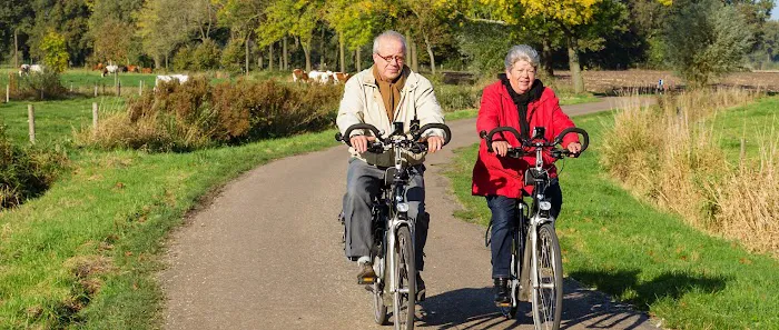 Aviva Electric Bikes Picture 4
