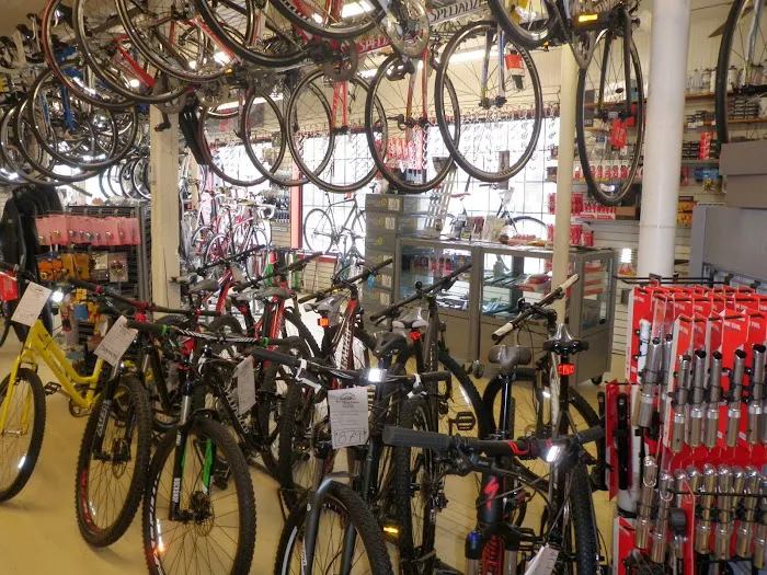 Ten Speed Spokes Picture 5