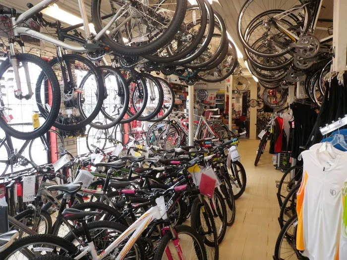 Ten Speed Spokes Picture 9
