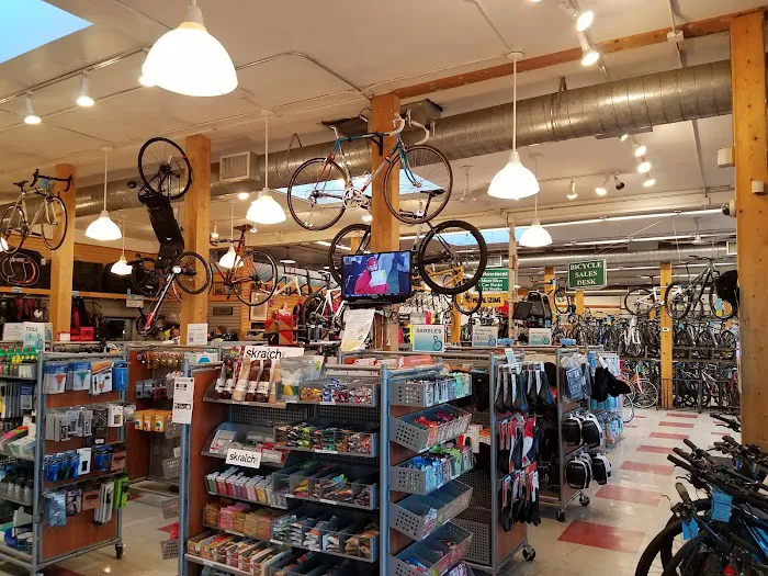 Belmont Wheelworks Picture 1