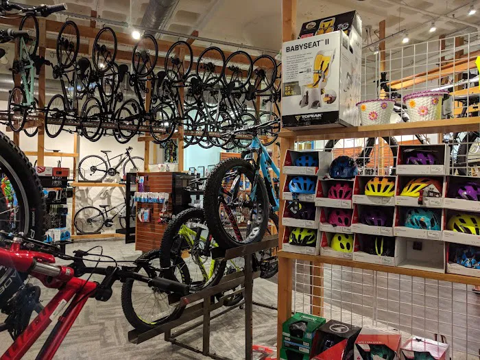 Landry's Bicycles Boston Picture 3