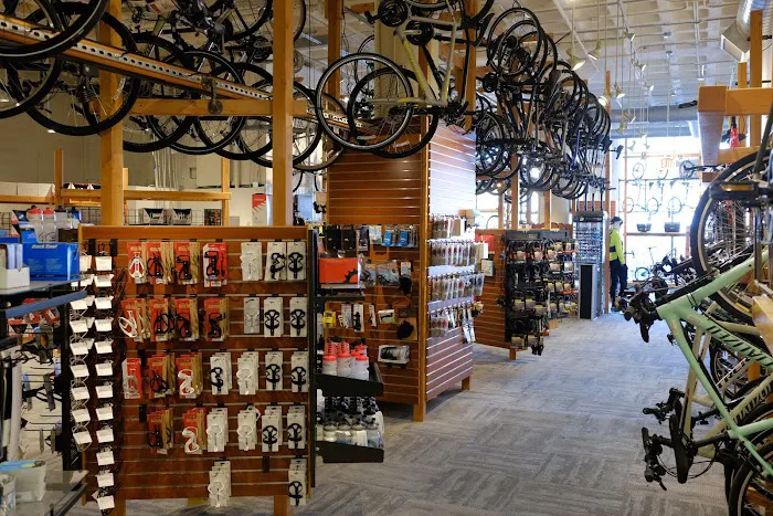 Landry's Bicycles Boston Picture 5