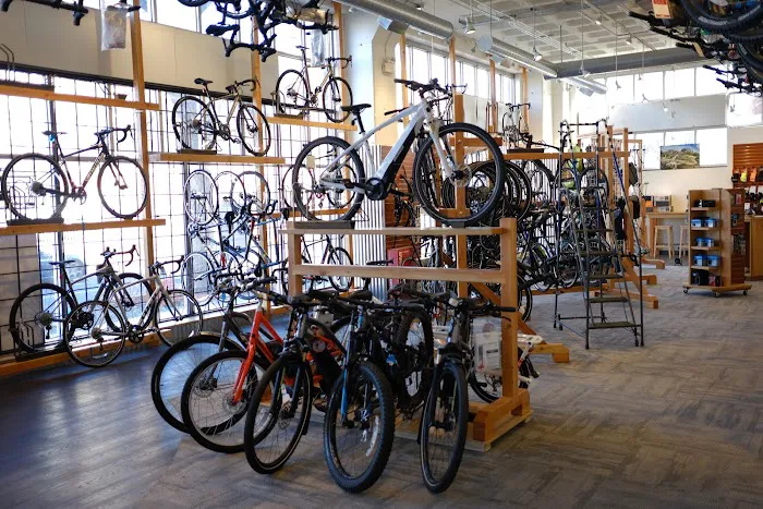 Landry's Bicycles Boston Picture 8