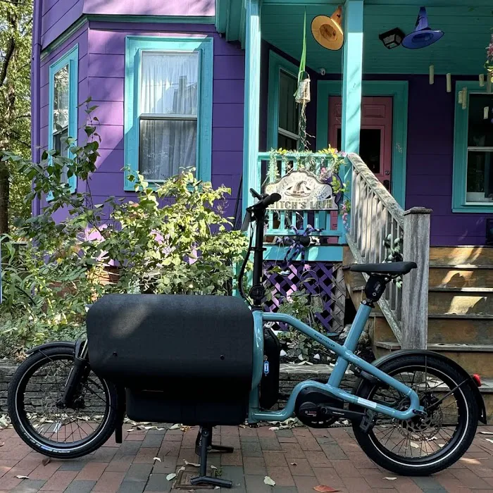 Bicycle Belle Picture 5