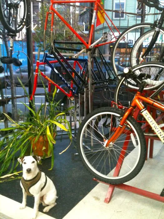 Revolution Bicycle Repair Picture 3