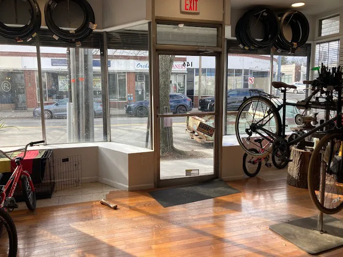 Revolution Bicycle Repair Picture 1