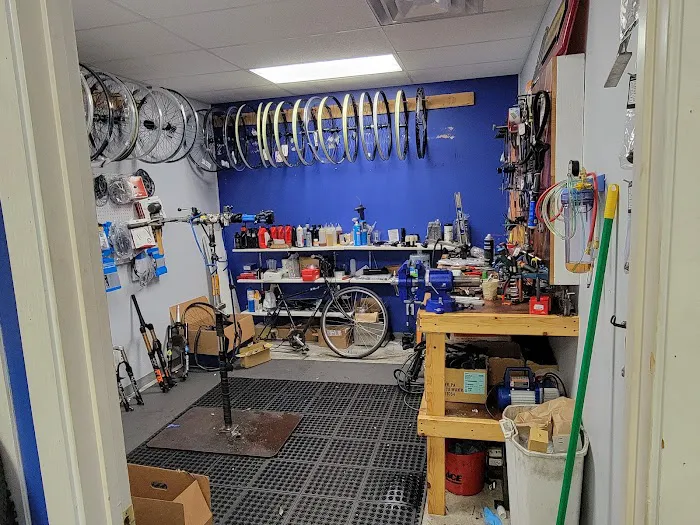 Blackstone Bicycles Picture 7