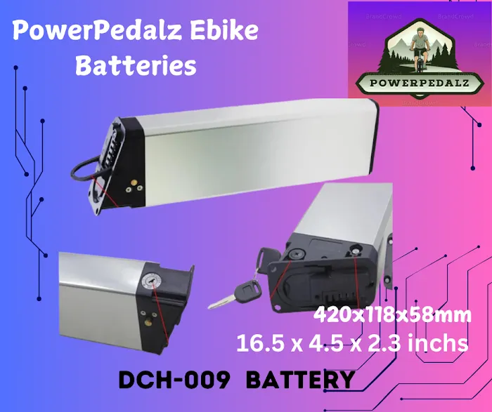 PowerPedalz Electric bikes Picture 4