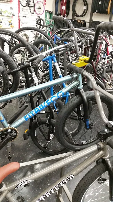 Travis Cycle Picture 1