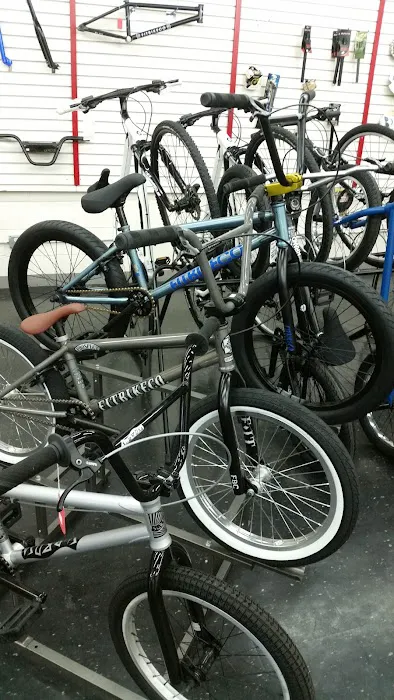 Travis Cycle Picture 3