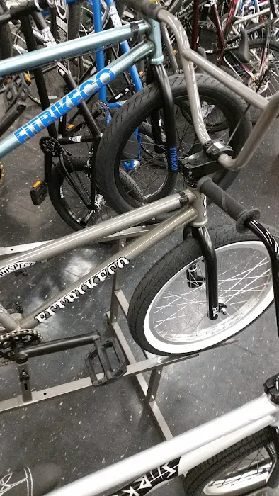 Travis Cycle Picture 10