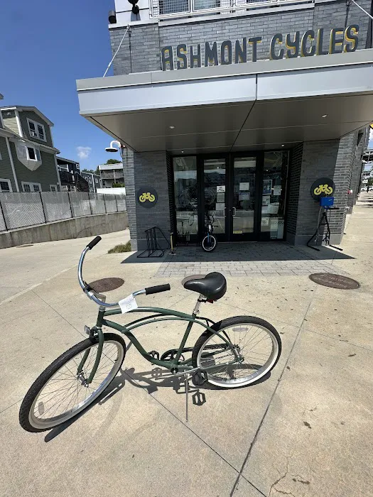 Ashmont Cycles Picture 3