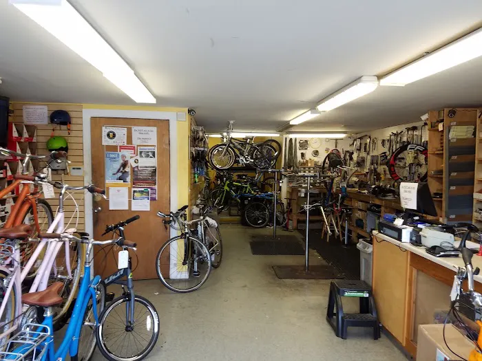 Ashmont Cycles Picture 1
