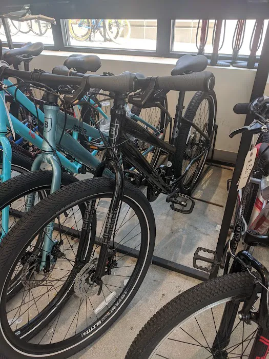 Ashmont Cycles Picture 5
