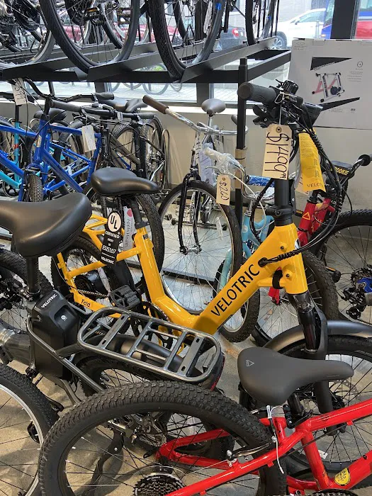 Ashmont Cycles Picture 10
