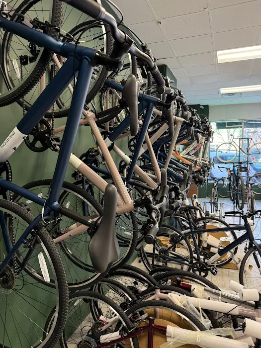 Apex Cycle Picture 5