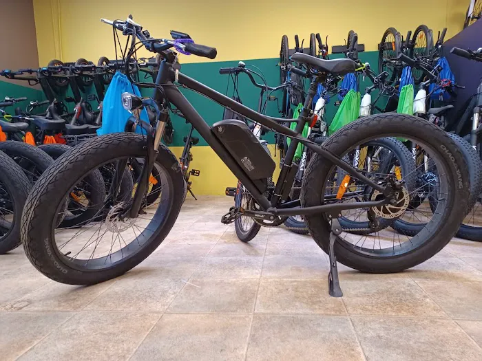 Rail Trail Ebikes Picture 3