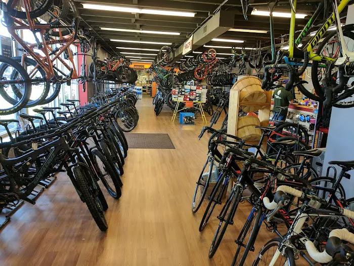 Cycles Etc Picture 5