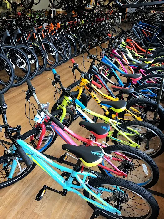 Cycles Etc Picture 10
