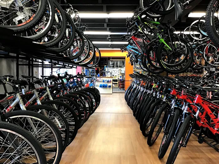 Cycles Etc Picture 8