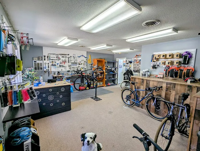 Handz Bicycles Picture 5