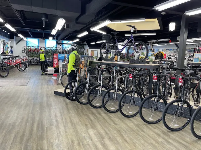 Trek Bicycle Hooksett Picture 3