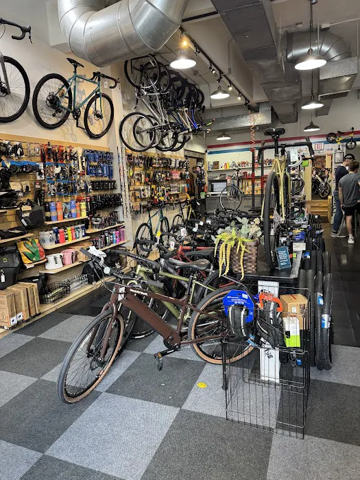 Dash Bicycle Shop Picture 1