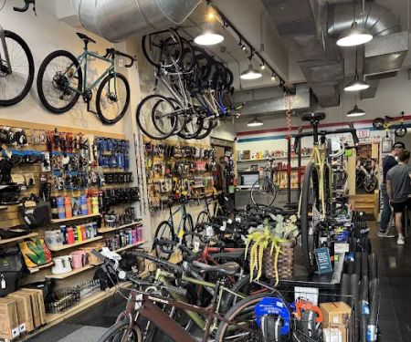 Dash Bicycle Shop