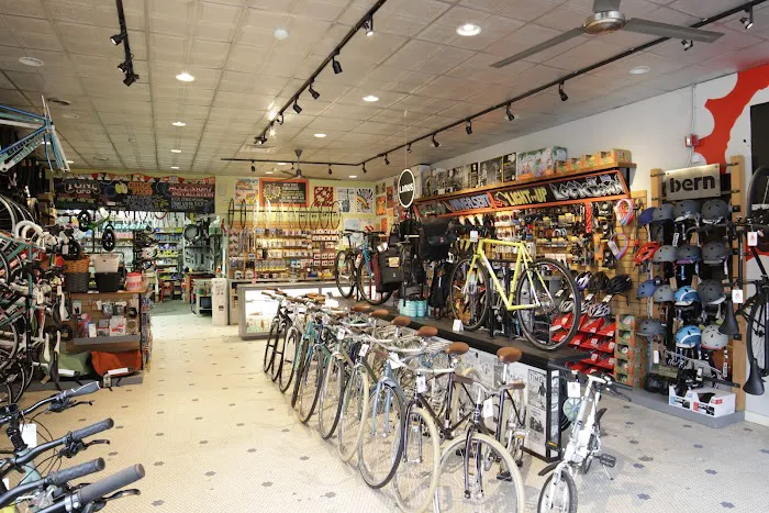 Dash Bicycle Shop Picture 6