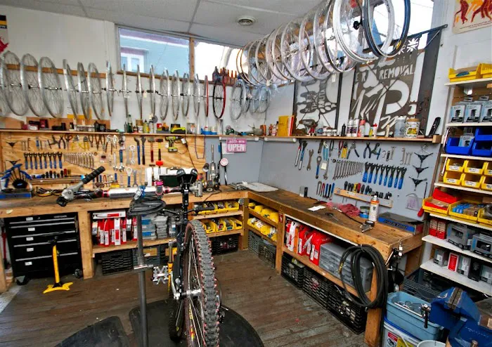 Dash Bicycle Shop Picture 5