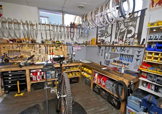 Dash Bicycle Shop Picture 7